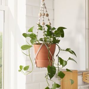 ANVÄNDBAR
Hanging plant holder, hanging/natural